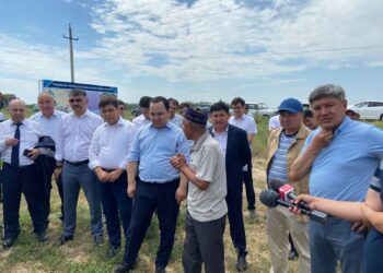 ТҮРКІСТАН ОБЛЫСЫНДА 17 МЫҢ ГЕКТАР ЖАЙЫЛЫМ ҚАЙТАРЫЛДЫ