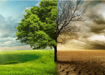 Хизбут-Тахрир әл-Ислами ағымынан сақ бол!