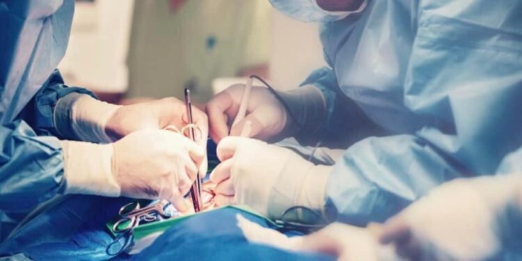 ТҮРКІСТАНДЫҚ ДӘРІГЕРЛЕР КҮРДЕЛІ ОТАЛАР ЖАСАП ЖАТЫР