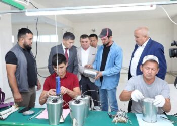 ТҮРКІСТАН: САРЫАҒАШ АУДАНЫНДА ЭЛЕКТРО-ШӘЙНЕК ШЫҒАРЫЛА БАСТАДЫ