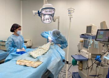 ТҮРКІСТАН: БАЛАЛАРДЫҢ ТУАБІТТІ ЖАҚ-БЕТ АҚАУЛАРЫН ҚАЛПЫНА КЕЛТІРУ ОТАЛАРЫ ЖАСАЛУДА