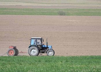 АГРОӨНЕРКӘСІПТІК КЕШЕНДІ ҰЗАҚ МЕРЗІМДІ СУБСИДИЯЛАУ – АУЫЛ ШАРУШЫЛЫҒЫНА СЕРПІН БЕРЕДІ