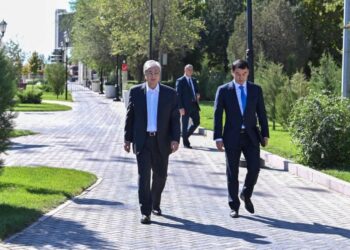 ӘКІМДЕР ҚАЛАЛАР МЕН ЕЛДІ МЕКЕНДЕРДІ ЖАЯУ АРАЛАУҒА ТИІС – ПРЕЗИДЕНТ