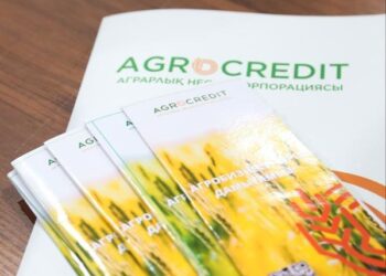 ЖАҢА БИЗНЕС ИДЕЯЛАРҒА МЕМЛЕКЕТ ТАРАПЫНАН ҚОЛДАУ БАР