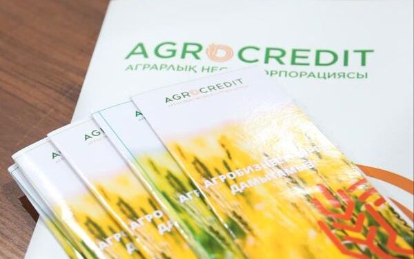 ЖАҢА БИЗНЕС ИДЕЯЛАРҒА МЕМЛЕКЕТ ТАРАПЫНАН ҚОЛДАУ БАР