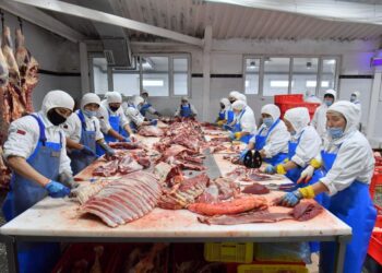 ЕТ ЭКСПОРТЫ БОЙЫНША ТҮРКІСТАН ОБЛЫСЫ БІРІНШІ ОРЫНДА ТҰР