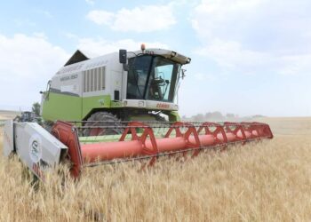 ТҮРКІСТАН ОБЛЫСЫНДА АУЫЛ ШАРУАШЫЛЫҒЫ ӨНІМДЕРІНІҢ КӨЛЕМІ 1 ТРЛН. ТЕҢГЕДЕН АСТЫ