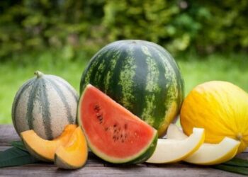 ТҮРКІСТАН: ЖЕТІСАЙЛЫҚ ШАРУАЛАР ӨЗ ӨНІМДЕРІН ДЕЛДАЛСЫЗ САУДАЛАМАҚ