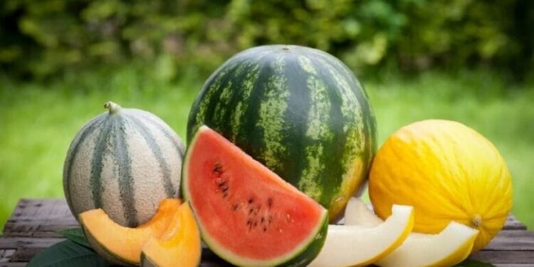 ТҮРКІСТАН: ЖЕТІСАЙЛЫҚ ШАРУАЛАР ӨЗ ӨНІМДЕРІН ДЕЛДАЛСЫЗ САУДАЛАМАҚ