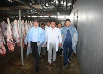 САЙРАМ: МАЛ ҚАЛДЫҚТАРЫН ТЕРЕҢ ӨҢДЕЙТІН ЗАУЫТТАР САЛЫНАДЫ