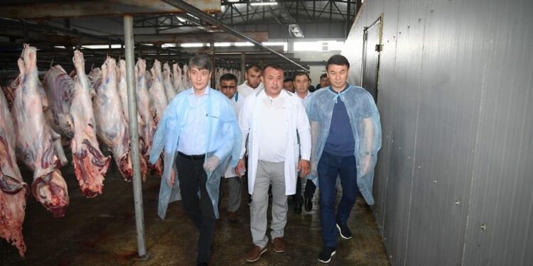 САЙРАМ: МАЛ ҚАЛДЫҚТАРЫН ТЕРЕҢ ӨҢДЕЙТІН ЗАУЫТТАР САЛЫНАДЫ