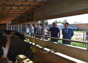 СОЗАҚ: “БАЛТАБАЙ” ШАРУА ҚОЖАЛЫҒЫНДА 26 АДАМ ЖҰМЫС ІСТЕЙДІ