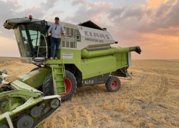 САРЫАҒАШ АУДАНЫ- АСТЫҚТЫ АЛҚАПТАРДЫҢ БІРІ