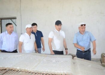 ТҮРКІСТАН: ЖЕТІСАЙДА ШАҒЫН ЦЕХТАР САНЫ АРТЫП КЕЛЕДІ