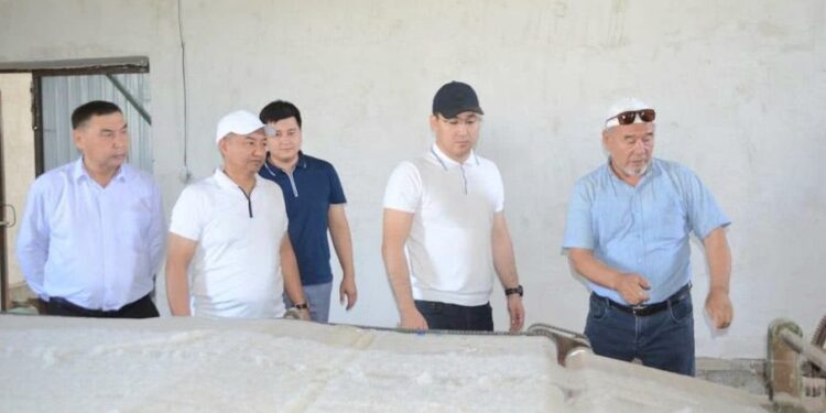 ТҮРКІСТАН: ЖЕТІСАЙДА ШАҒЫН ЦЕХТАР САНЫ АРТЫП КЕЛЕДІ