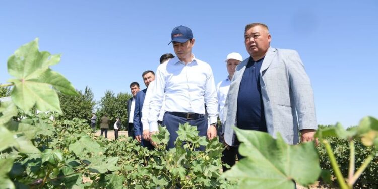 ДАРХАН САТЫБАЛДЫ «АУЫЛ АМАНАТЫНЫҢ» МҮМКІНДІКТЕРІН ПАЙДАЛАНУҒА ШАҚЫРДЫ