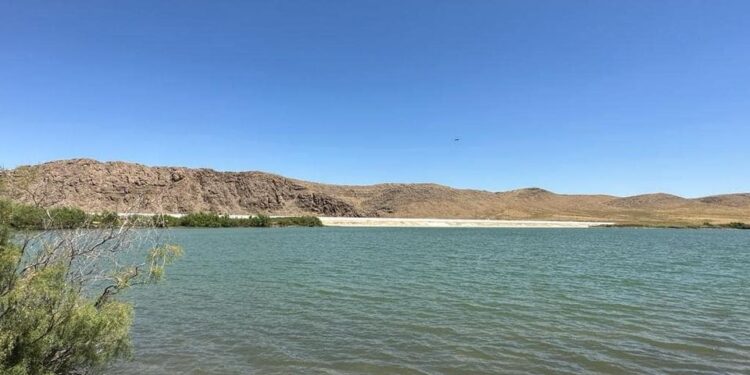 ТҮРКІСТАН: СОЗАҚТАҒЫ ШАРУАШЫЛЫҚ БИЫЛ 180 ТОННА КӨЛЕМІНДЕ БАЛЫҚ ӨНІМІН ШЫҒАРДЫ