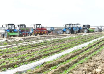 ТҮРКІСТАН ОБЛЫСЫНДА БИЫЛ 3 МЛН. ТОННАДАН АСТАМ КҮЗГІ ӨНІМ ЖИНАЛАДЫ