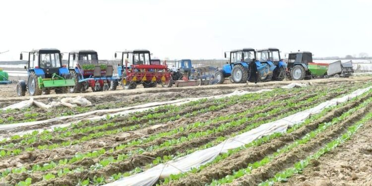 ТҮРКІСТАН ОБЛЫСЫНДА БИЫЛ 3 МЛН. ТОННАДАН АСТАМ КҮЗГІ ӨНІМ ЖИНАЛАДЫ