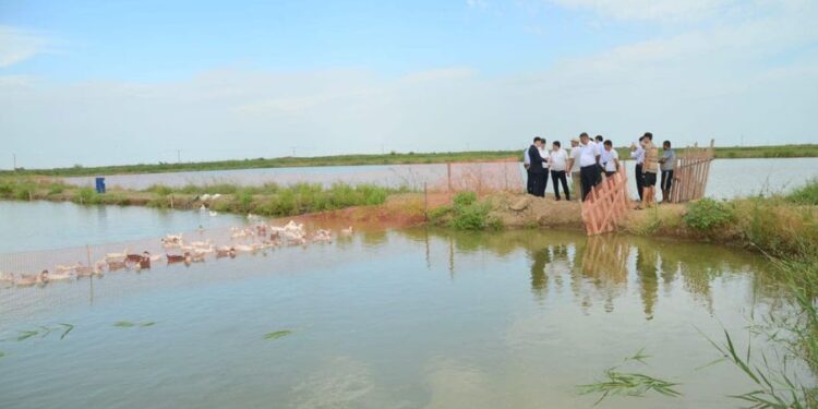 ТҮРКІСТАН: ЖЕТІСАЙДА БАЛЫҚ ШАРУАШЫЛЫҒЫ ДАМЫП КЕЛЕДІ