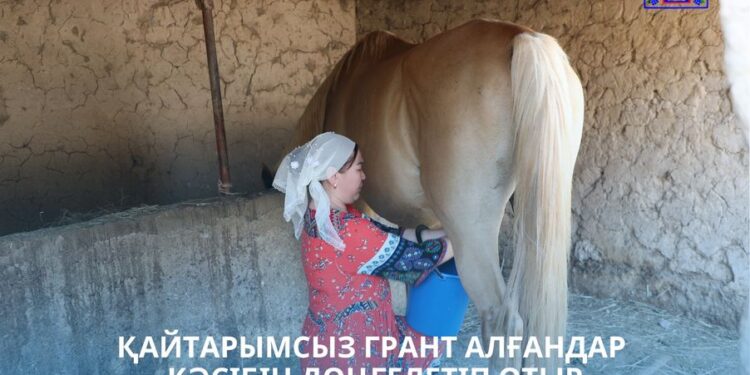 САРЫАҒАШ: ҚАЙТАРЫМСЫЗ ГРАНТ АЛҒАНДАР КӘСІБІН ДӨҢГЕЛЕТІП ОТЫР