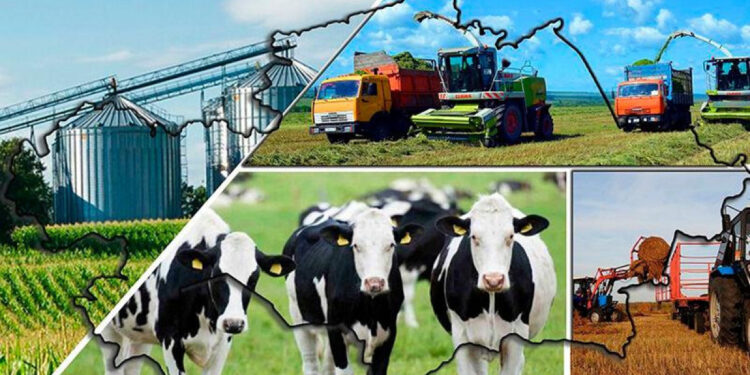 КӘСІПКЕРЛІККЕ КЕҢ ӨРІС