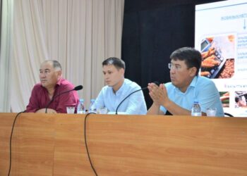 ТҮРКІСТАН: ЖЕТІСАЙДА «АУЫЛ АМАНАТЫ» ЖОБАСЫНЫҢ VI БАҒЫТЫ МЕН ЖАСАНДЫ ЖІБЕК ҚҰРТЫН ӨСІРУ ЖОЛДАРЫ ТҮСІНДІРІЛДІ