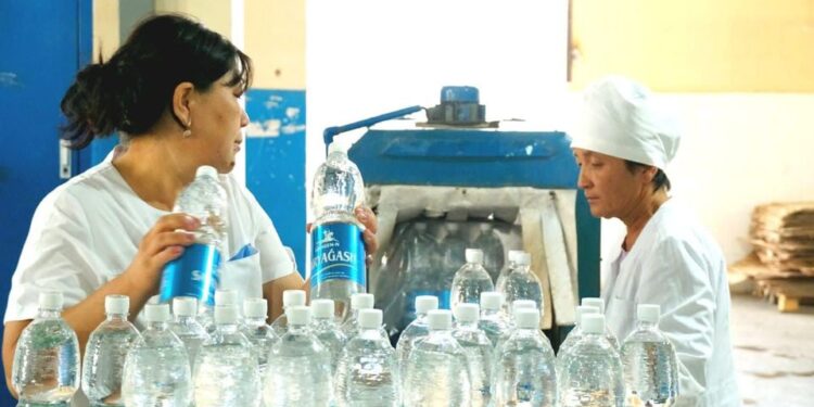 КЕЛЕС АУДАНЫНДА ЗАУЫТ ЖЫЛЫНА 38 МЛН ДАНА ҚЫШ ӨНДІРЕДІ