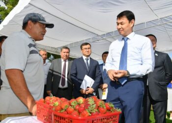 ДАРХАН САТЫБАЛДЫ «АУЫЛ АМАНАТЫМЕН» ТАБЫС ТАБА БАСТАҒАН АУЫЛ ТҰРҒЫНДАРЫМЕН КЕЗДЕСТІ