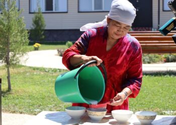 ТҮРКІСТАН: ТӨЛЕБИДЕ САУМАЛМЕН ЕМДЕЙТІН ОРТАЛЫҚТАР САНЫ АРТЫП КЕЛЕДІ