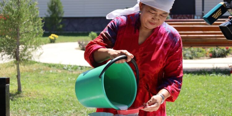 ТҮРКІСТАН: ТӨЛЕБИДЕ САУМАЛМЕН ЕМДЕЙТІН ОРТАЛЫҚТАР САНЫ АРТЫП КЕЛЕДІ