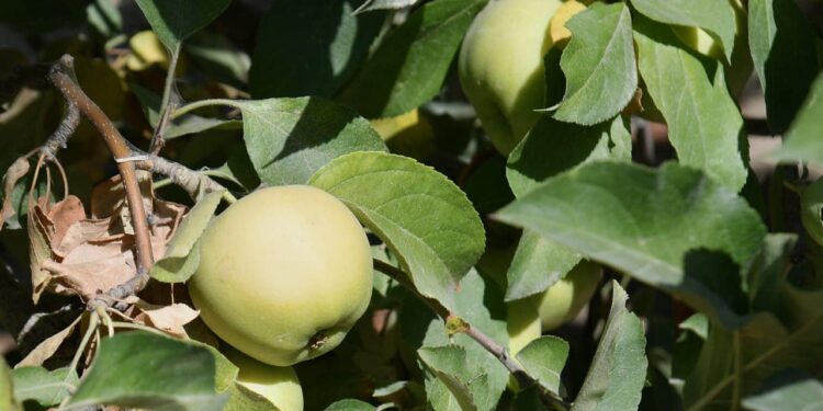 ДАРХАН САТЫБАЛДЫ ҚАЗЫҒҰРТ АУДАНЫНЫҢ КӘСІПКЕРЛЕРІМЕН КЕЗДЕСТІ