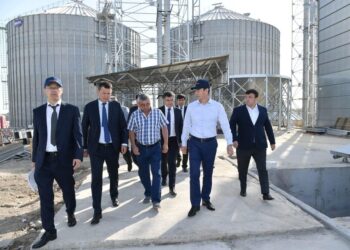 Д.САТЫБАЛДЫ: «ШАРДАРАДАҒЫ ЗАУЫТ ЖҮГЕРІ ҚАБЫЛДАУҒА ДАЙЫН»