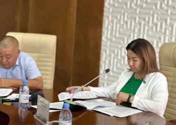 ТҮРКІСТАН: АУЫЛДЫҚ ЖЕРЛЕРДЕГІ ҮКІМЕТТІК ЕМЕС ҰЙЫМДАРҒА МЕМЛЕКЕТТІК ҚОЛДАУ АРТАДЫ