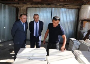 ТҮРКІСТАН: САРЫАҒАШТА ЖАС КӘСІПКЕР ТЕРМОПАНЕЛЬ ӨНДІРІСІН ЖОЛҒА ҚОЙҒАН