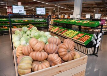 ТҮРКІСТАНДА ӘЛЕУМЕТТІК МАҢЫЗЫ БАР АЗЫҚ-ТҮЛІК ТАУАРЛАРЫНЫҢ БАҒАСЫ ТҰРАҚТЫ