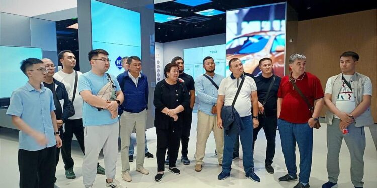 ТҮРКІСТАН: АРЫСТЫҚ ДЕЛЕГАЦИЯ ИНВЕСТИЦИЯ ТАРТУ МАҚСАТЫНДА ШЕТЕЛДІК КОМПАНИЯЛАРМЕН КЕЗДЕСУЛЕР ӨТКІЗДІ
