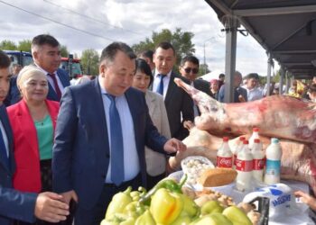 ТҮРКІСТАН: CОЗАҚ АУДАНЫНДА АУЫЛ ШАРУАШЫЛЫҒЫ ӨНІМІ 12 МЛРД ТЕҢГЕДЕН АСҚАН