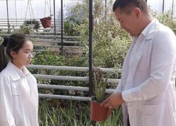 ТҮРКІСТАН: КЕЛЕСТІК ОҚУШЫ ҚЫЗ ЖЫЛЫЖАЙДА ЕРЕКШЕ ГҮЛ ТҮРЛЕРІН ӨСІРЕДІ