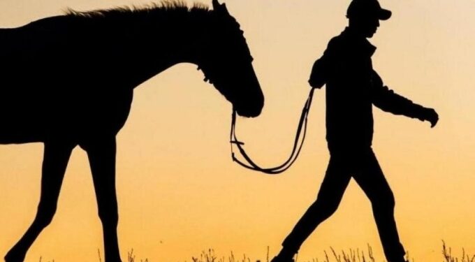 Елімізде мал иелеріне жаңа тыйым енгізілді