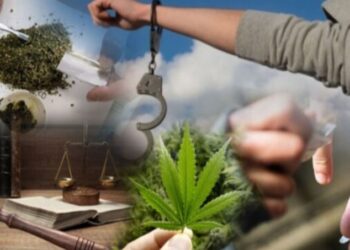 Есірткі ешкімді есіркемейді