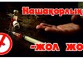Нашақорлықтың, темекі шегудің, маскүнемдіктің алдын алу