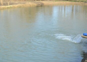 ТҮРКІСТАН: МАҚТАЛЫ ӨҢІРДЕ БАЛЫҚ ШАРУАШЫЛЫҒЫН ДАМЫТУҒА КҮШ САЛЫНУДА