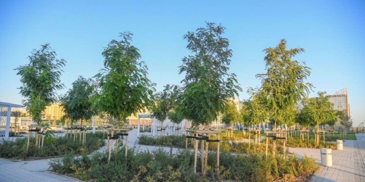 ТҮРКІСТАН ОБЛЫСЫН КӨГАЛДАНДЫРУ, АБАТТАНДЫРУ САЛАСЫНДАҒЫ ЖОСПАРЛАР ЖАН-ЖАҚТЫ ТАЛҚЫЛАНДЫ