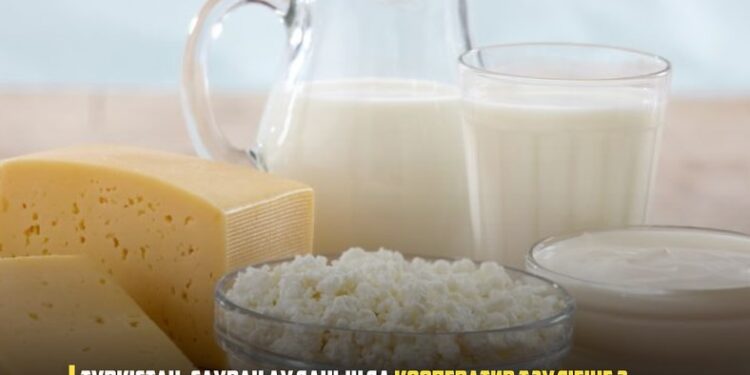 ТҮРКІСТАН: САУРАН АУДАНЫНДА КООПЕРАТИВ ТӘУЛІГІНЕ 2 ТОННА СҮТ ӨНІМІН ӨНДІРЕДІ