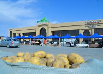 ТҮРКІСТАН ОБЛЫСЫНДА ТҰРАҚТАНДЫРУ ҚОРЫНАН КӨКӨНІС ӨНІМДЕРІН ҚОЛЖЕТІМДІ БАҒАМЕН ШЫҒАРУ ЖҮЗЕГЕ АСУДА