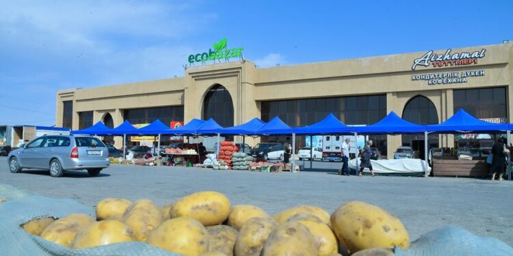 ТҮРКІСТАН ОБЛЫСЫНДА ТҰРАҚТАНДЫРУ ҚОРЫНАН КӨКӨНІС ӨНІМДЕРІН ҚОЛЖЕТІМДІ БАҒАМЕН ШЫҒАРУ ЖҮЗЕГЕ АСУДА