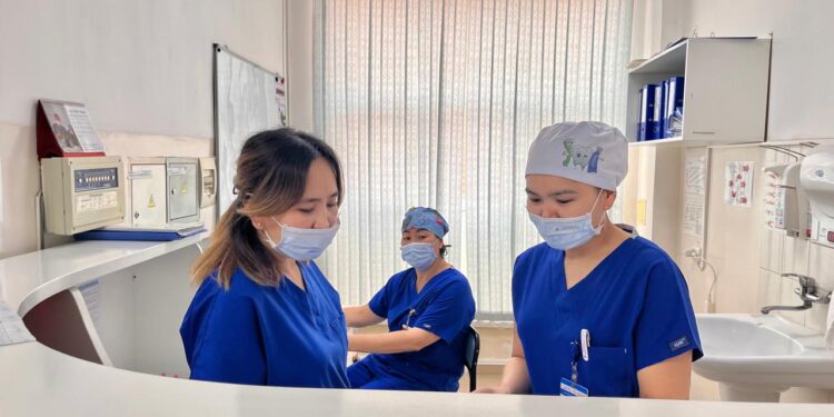 ШЫМКЕНТТЕ 76 ЖАСТАҒЫ ҚАРИЯНЫҢ ЖҮРЕГІНЕ АШЫҚ ОТА ЖАСАЛДЫ