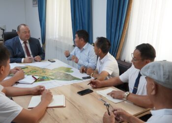 КЕЛЕС АУДАНЫНЫҢ ӘКІМІ ҚЫТАЙЛЫҚ ИНВЕСТОРЛАРМЕН КЕЗДЕСТІ