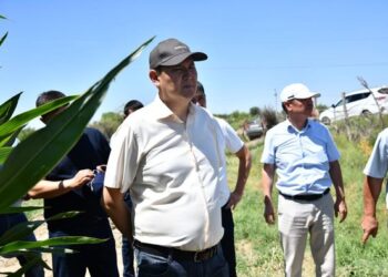 ОТЫРАР АУДАНЫНДА КӘСІП АШҚАНДАР САНЫ АРТЫП КЕЛЕДІ